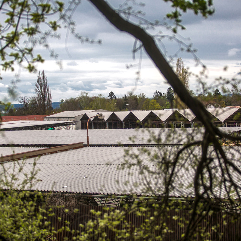 uerveSk (14 of 35).jpg